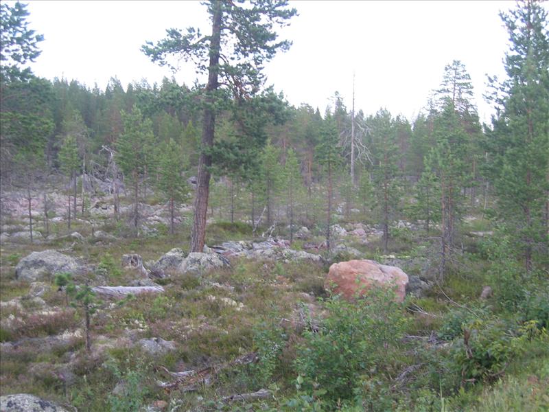 Sweden 2006-04 152